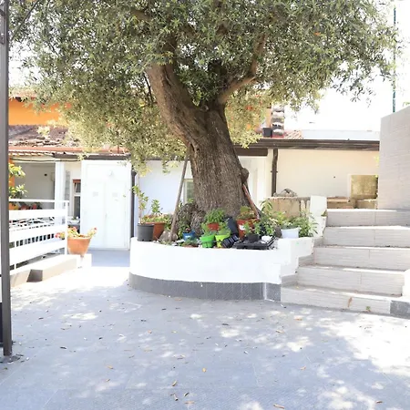 Cilento - Relais Figliola 4*