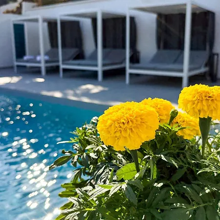 Cilento - Relais Figliola Gasthof 4*